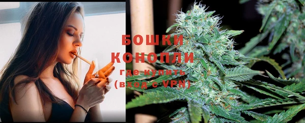 крисы Нея
