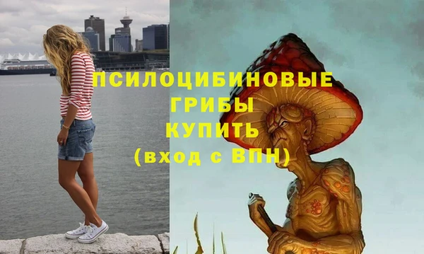 крисы Нея